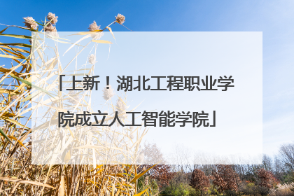上新！湖北工程职业学院成立人工智能学院