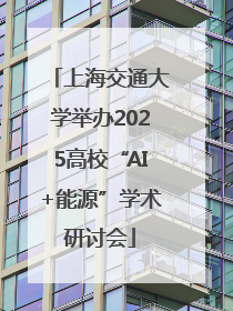 上海交通大学举办2025高校“AI+能源”学术研讨会