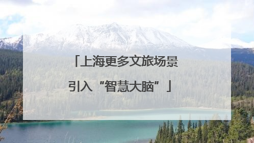 上海更多文旅场景引入“智慧大脑”