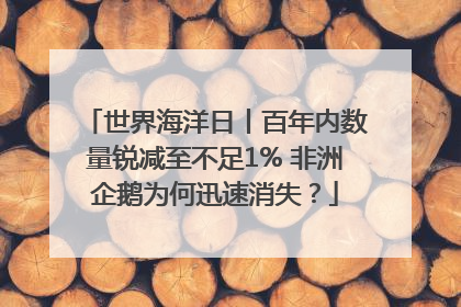 世界海洋日丨百年内数量锐减至不足1% 非洲企鹅为何迅速消失？