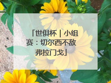 世俱杯｜小组赛：切尔西不敌弗拉门戈