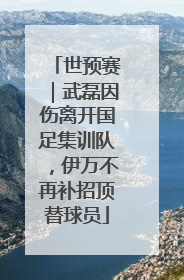 世预赛｜武磊因伤离开国足集训队，伊万不再补招顶替球员