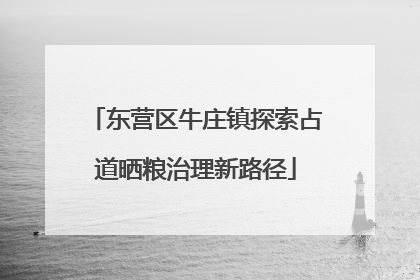 东营区牛庄镇探索占道晒粮治理新路径