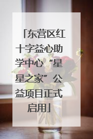 东营区红十字益心助学中心“星星之家”公益项目正式启用