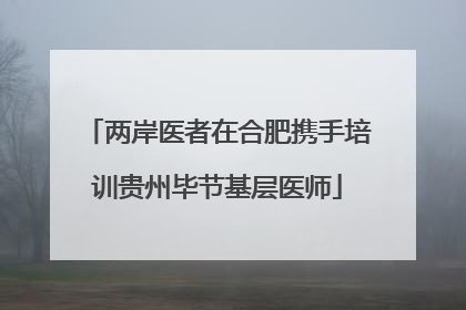 两岸医者在合肥携手培训贵州毕节基层医师