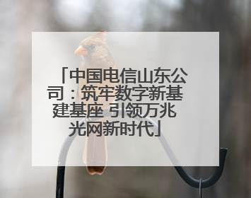 中国电信山东公司：筑牢数字新基建基座 引领万兆光网新时代