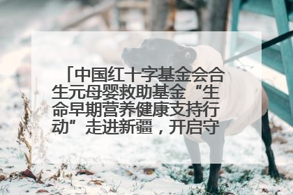 中国红十字基金会合生元母婴救助基金“生命早期营养健康支持行动”走进新疆，开启守护母婴新篇章！