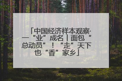中国经济样本观察·一“业”成名丨面包“总动员”！“走”天下也“香”家乡