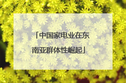 中国家电业在东南亚群体性崛起