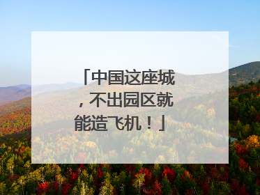 中国这座城，不出园区就能造飞机！