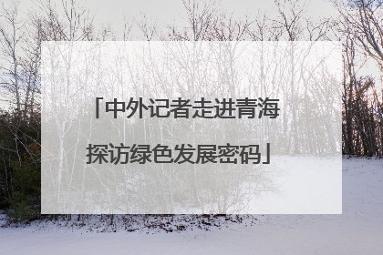 中外记者走进青海 探访绿色发展密码