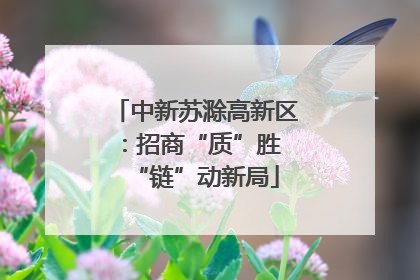 中新苏滁高新区：招商“质”胜 “链”动新局