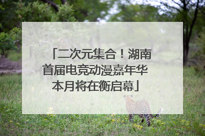 二次元集合！湖南首届电竞动漫嘉年华本月将在衡启幕