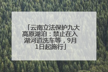 云南立法保护九大高原湖泊：禁止在入湖河道洗车等，9月1日起施行