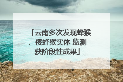 云南多次发现蜂猴、倭蜂猴实体 监测获阶段性成果