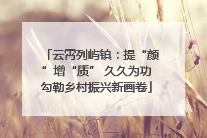 云霄列屿镇：提“颜”增“质” 久久为功勾勒乡村振兴新画卷