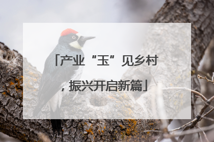 产业“玉”见乡村，振兴开启新篇