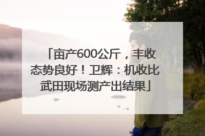 亩产600公斤，丰收态势良好！卫辉：机收比武田现场测产出结果