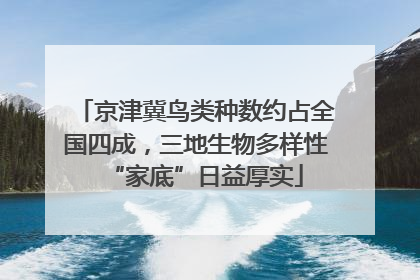京津冀鸟类种数约占全国四成，三地生物多样性“家底”日益厚实