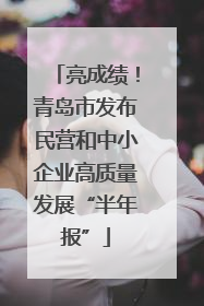 亮成绩！青岛市发布民营和中小企业高质量发展“半年报”