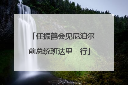 任振鹤会见尼泊尔前总统班达里一行