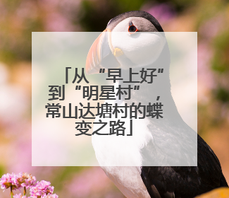 从“早上好”到“明星村”，常山达塘村的蝶变之路