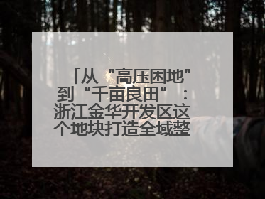 从“高压困地”到“千亩良田”：浙江金华开发区这个地块打造全域整治示范样本