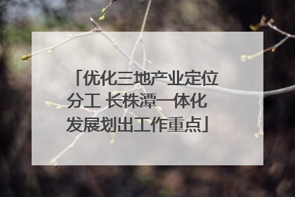 优化三地产业定位分工 长株潭一体化发展划出工作重点