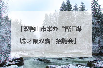 双鸭山市举办“智汇煤城·才聚双赢”招聘会