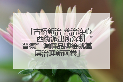 古桥新治 善治连心——西街派出所深耕“晋德”调解品牌绘就基层治理新画卷