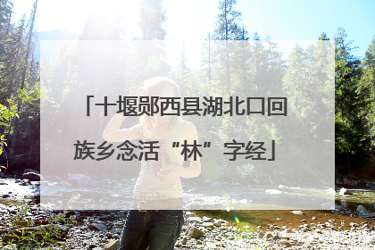 十堰郧西县湖北口回族乡念活“林”字经