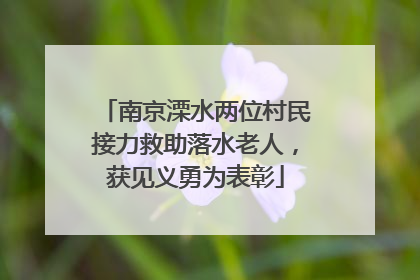 南京溧水两位村民接力救助落水老人，获见义勇为表彰