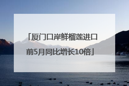厦门口岸鲜榴莲进口 前5月同比增长10倍