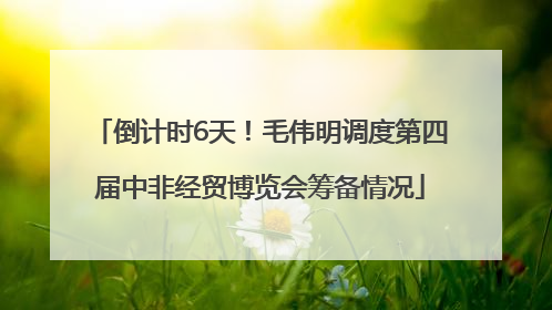 倒计时6天！毛伟明调度第四届中非经贸博览会筹备情况