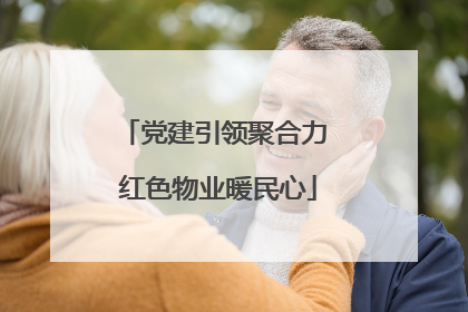 党建引领聚合力 红色物业暖民心