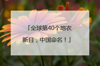 全球第40个地衣新目，中国命名！