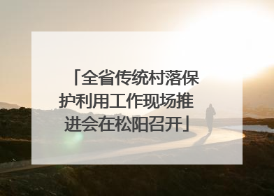 全省传统村落保护利用工作现场推进会在松阳召开