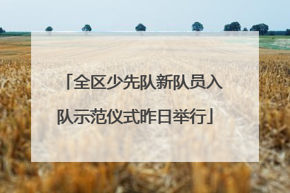 全区少先队新队员入队示范仪式昨日举行