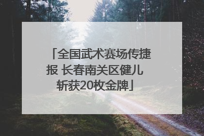 全国武术赛场传捷报 长春南关区健儿斩获20枚金牌