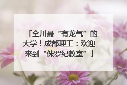 全川最“有龙气”的大学！成都理工：欢迎来到“侏罗纪教室”