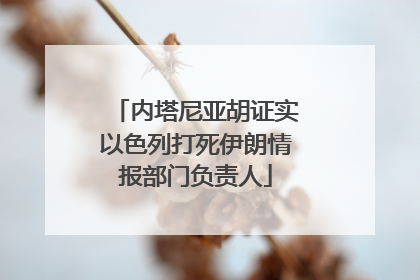 内塔尼亚胡证实以色列打死伊朗情报部门负责人