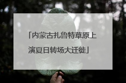 内蒙古扎鲁特草原上演夏日转场大迁徙