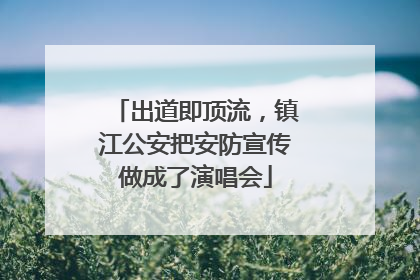 出道即顶流，镇江公安把安防宣传做成了演唱会