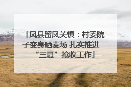 凤县留凤关镇：村委院子变身晒麦场 扎实推进“三夏”抢收工作