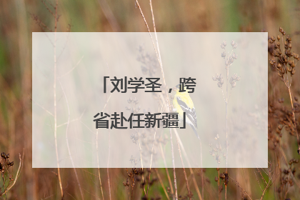 刘学圣，跨省赴任新疆