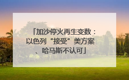 加沙停火再生变数：以色列“接受”美方案、哈马斯不认可