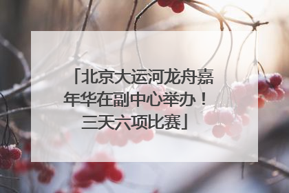 北京大运河龙舟嘉年华在副中心举办！三天六项比赛