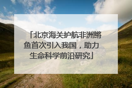 北京海关护航非洲鳉鱼首次引入我国，助力生命科学前沿研究