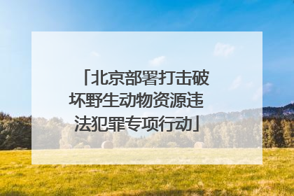 北京部署打击破坏野生动物资源违法犯罪专项行动