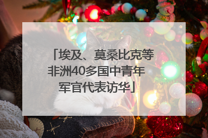 埃及、莫桑比克等非洲40多国中青年军官代表访华